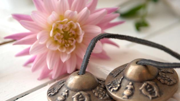 tingsja_met_lotus